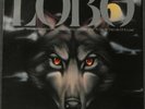 LOBO - Where Were You When I Was Falling In Love - Vintage Vinyl LP record NM