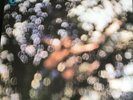 Pink Floyd Obscured By Clouds Vinyl