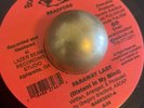 RARE MODERN SOUL BOOGIE DISCO Bradford Faraway Lady BouLaa  BABE 2007 