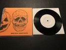 Horror Section Season Of The Witch Test Pressing 7” Pop Punk Vinyl