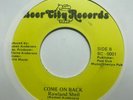 funk soul boogie 45 ROWLAND SHELL Come on Back BEER CITY listen synth