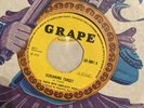 BIG YOUTH SIMPLICITY PEOPLE Screaming Target Concrete Jungle GRAPE 3061 1973 EX