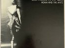 ADAM AND THE ANTS DIRK WEARS WHITE SOX LP DO IT UK 1979 A2/B1 MATRIX EX CON
