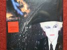 Japan ?Gentlemen Take Polaroids LP Vinyl includes Download