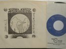 SHACKLE 1976 INDIE LTD. # COPIES ILLINOIS RAW PUNK GARAGE 45  MR. TRIPPER W/PS