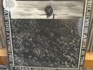 Crass  The Feeding of The 5000 Vinyl LP Crass Records 621984 The Second Sitting