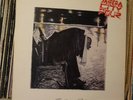 Mega City Four - Terribly Sorry Bob - UK LP [DYL24]  - see promo below