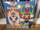SUPER FURRY ANIMALS  - HEY VENUS   - VINYL LP