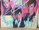 Stray Cats - Blast Off  (Vinyl LP) Mint