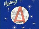 E J Chandler:I can't stand to lose you/Beleiev in me:UK Destiny DJ:Northern Soul