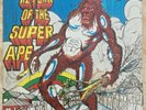 The Upsetters  