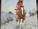 FABRIZIO DE ANDRE' - INDIANO  EX/EX VINILE LP 1981