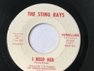 The Sting Rays 45 I Need Her RARE 1965 Tidewater Va Garage Rock Ray Vernon