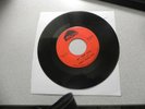 rare 1966 Bobby Fuller Four My True Love & The Magic Touch red Mustang M  3018
