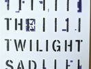 The Twilight Sad Rats limited numbered  RARE 1000 only MINT PURPLE