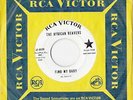 AFRICAN BEAVERS FIND MY BABY RCA DEMO COPY