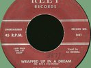 DO-RAY-ME TRIO Wrapped Up in a Dream / Why Did You Do It Baby 45rpm Reet 1958