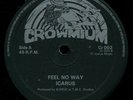 Icarus - A Na Me Culture Dat / Feel No Way UK Crowmium 12