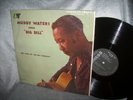 Muddy Waters  