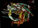 Morton Subotnick The Wild Bull vinyl LP album record UK H-71208 NONESUCH 1968