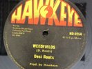 Desi Roots ?– Weedfields Reggae 12”