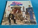 THE FLYING BURRITO BROS THE GILDED PALACE OF SIN RARE ORIG 1969 LP A&M Excellent