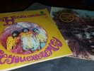 Jimi Hendrix Experience Are You Experienced & The Cry Of Love Original Vinyls LP