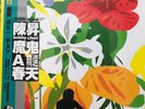BOBBY CHEN - 陳昇 1994-2004 : 魔鬼 A 春天 (CLEARED VINYL) MADE IN JAPAN