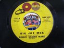 SINGIN SAMMY WARD    BIG JOE MOE   Tamla 54057   Early Motown     R&B / Soul