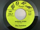 The Caretakers - Hidden Steps - WORM 1001 Orig 1966 USA Garage Psych Punk FUZZ