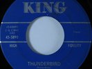 R&B Rocker/Doo Wop 45 DOSSIE TERRY Thunderbird KING HEAR *