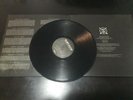 Chasing Ghosts by The Amity Affliction on Vinyl Oct-2012, Roadrunner Records