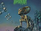Blood Incantation ?- Hidden History of the Human Race LP - Galaxy Colored Vinyl