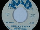 R&B Tittyshaker 45 JAMES RED HOLLOWAY Simple Steps MAD VG+ promo HEAR *