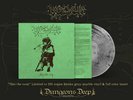 Hole Dweller - Flies The Coop GREY MARBLE SMOKE COLORED Vinyl LP x/250 1st Press