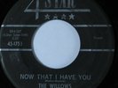 Doo Wop R&B 45 WILLOWS Now That I Have You 4 STAR HEAR *