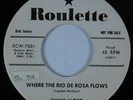 Rockabilly 45 JIMMY LLOYD Where the Rio de Rosa Flows ROULETTE VG+ promo HEAR *