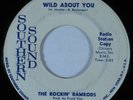 Garage Mod 45 ROCKIN' RAMRODS Wild About You SOUTHERN VG+ promo HEAR *