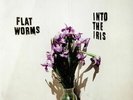 FLAT WORMS - Into The Iris - Vinyl (12