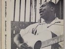 ROBERT PETE WILLIAMS: Those Prison Blues US Folk Lyric Orig LP NM- Vinyl