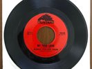 Bobby Fuller Four The Magic Touch/ My True Love Texas Garage 45