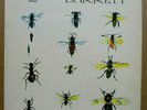 SYD BARRETT Barrett (1st UK) LP SHSP 4007 Harvest 1970 Pink Floyd NICE