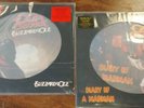 OZZY OSBOURNE - BLIZZARD OF OZZ & DIARY OF A MADMAN PICTURE DISC VINYL LPS