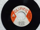 THE AVALONS Malanese / Begin the Beguine OLIMPIC 240 M- MAD MIKE