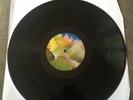 KH: Only Human Vinyl 12