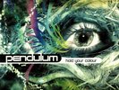 PENDULUM - Hold Your Colour - Breakbeat Kaos Vinyl (3xLP)