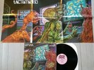 R. Cade & the Video Victims -Get Victimized LP private press synth rock w/poster