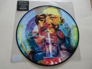 Manic Street Preachers / The Holy Bible 20  / Rare Vinyl  Picture Disc