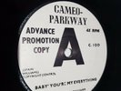 Little Jerry Williams ?– Baby You're My Everything Northern Soul UK PROMO