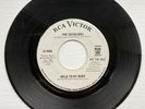 Northern Soul, R&B, The Cavaliers, Hold To My Baby, Dance Little Girl, Demo